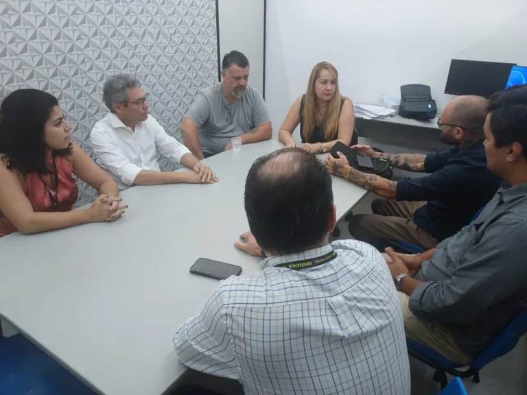 Lei para banir sacolas plásticas em Marília já tem data para vigorar