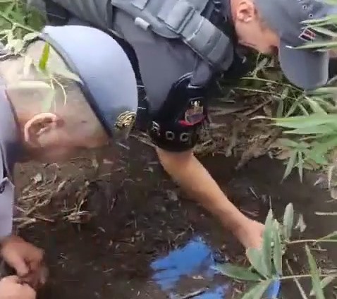 Ofensiva da PM (Polícia Militar) contra o tráfico apreende 34,3kg de drogas em um tambor enterrado, prende um homem e derruba barricadas na zona oeste.