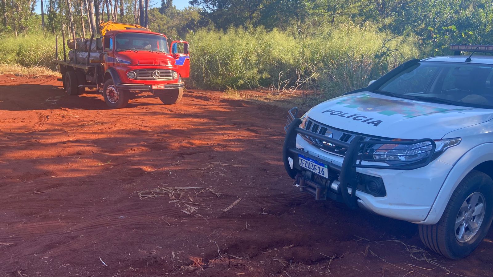 Fazenda tem invasão para corte de árvores e furto em Chavantes