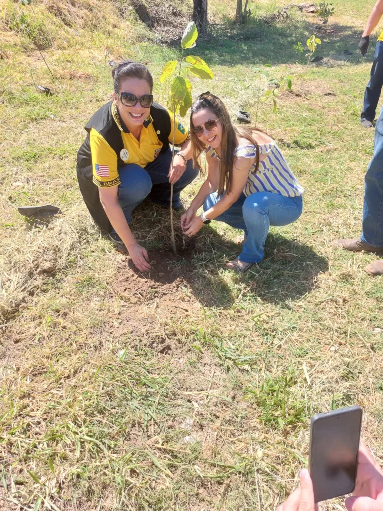 Projeto refloresta área em Marília e protege nascente