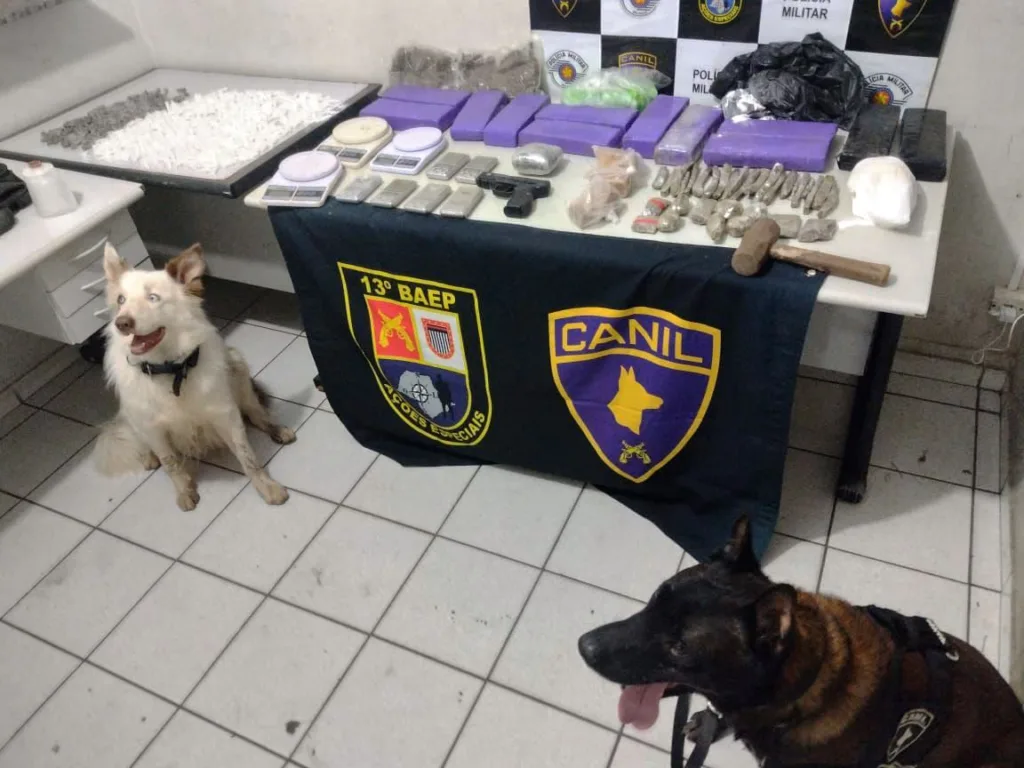 Vídeos e fotos do Baep mostram apreensão de 14kg de drogas em Marília