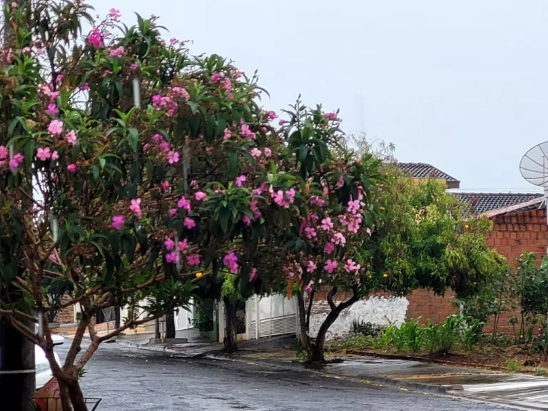 Marília tem chuva e até queda de energia antes de massa de ar frio