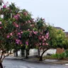 Marília tem chuva e até queda de energia antes de massa de ar frio