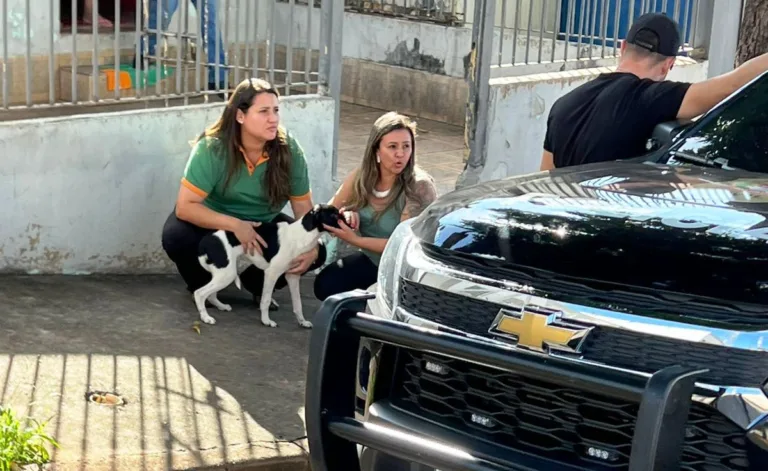 Causa Animal resgata cão após vídeo de maus-tratos