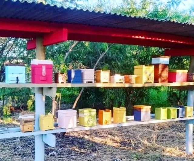 Agroecologia com abelhas em Marília vira tese de mestrado e livro