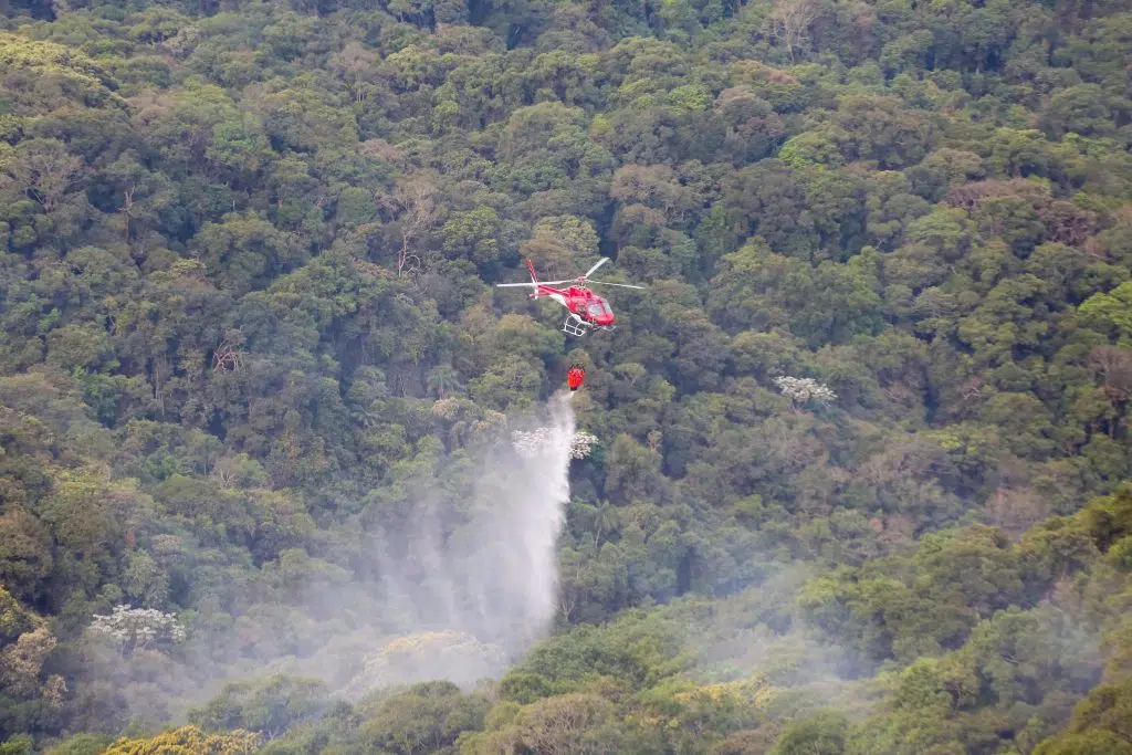 Combate a incêndios inicia 'fase vermelha' e mostra risco na região