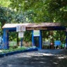 Saúde promove Domingo no Bosque com orientação e lazer