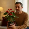 Feng Shui no inverno a planta perfeita para aquecer e proteger o ambiente