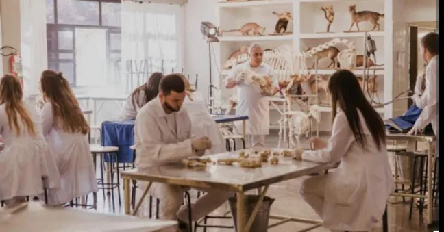 Medicina Veterinária da Unimar: 38 anos de tradição e excelência