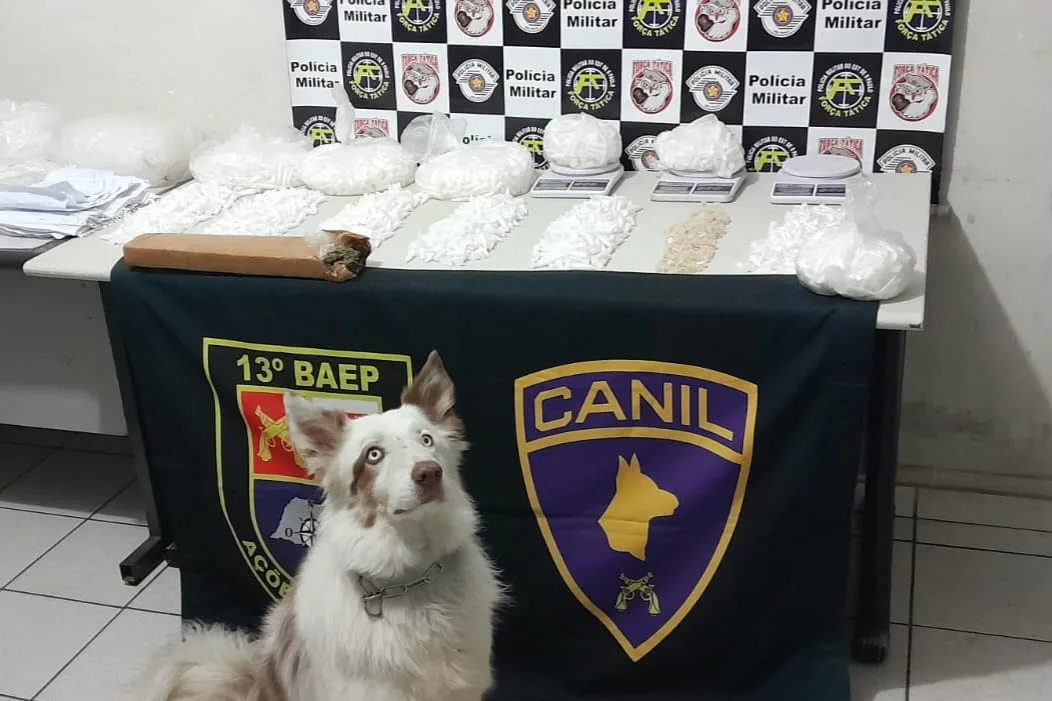 Operação contra tráfico apreende 18kg de de drogas em favela Operação contra tráfico apreende 18kg de de drogas em favela