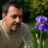 Como ter flor-de-lis no auge da floração