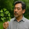Essa planta chinesa ancestral é o segredo natural para memória afiada e coração forte