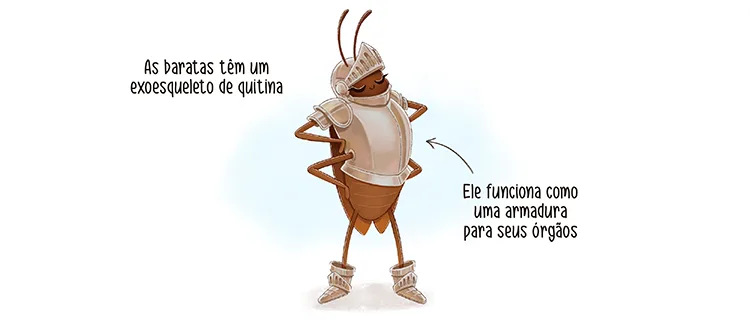 Butantan esclarece funções, mitos e verdades sobre baratas