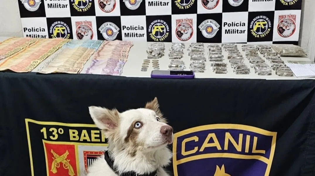 Ação com apoio de cães prende acusado de tráfico na Vila Barros