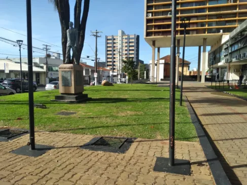 'Transplante' de árvores vira polêmica e secretaria defende adequação