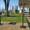 'Transplante' de árvores vira polêmica e secretaria defende adequação