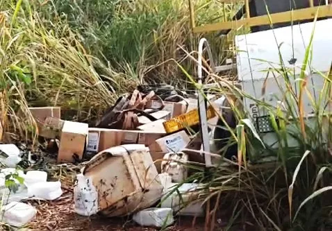Bairro rural provoca nova denúncia por veneno em eucaliptos Bairro rural provoca nova denúncia por veneno em eucaliptos