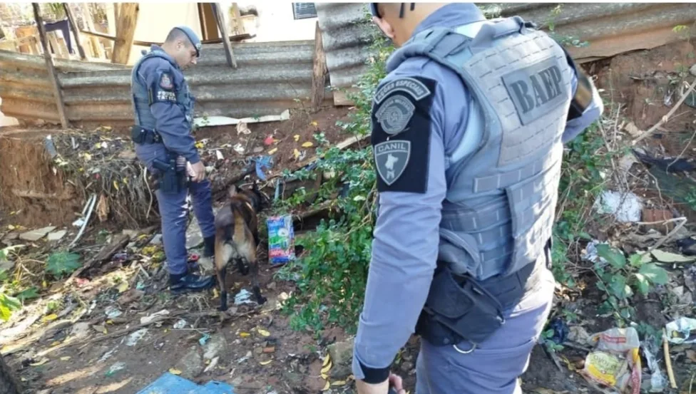 Ação com apoio de cães prende acusado de tráfico na Vila Barros Ação com apoio de cães prende acusado de tráfico na Vila Barros