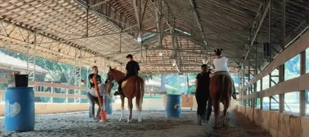 Edital contrata Equoterapia no Estado e inclui Marília
