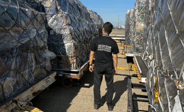 Aeroporto paulista recebe 60ton de rosas para Dia dos Namorados