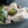 Desmanche encontra 10kg de maconha em tanque de carro