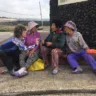 Mostra Sala Verde reúne filmes e debate sobre sustentabilidade