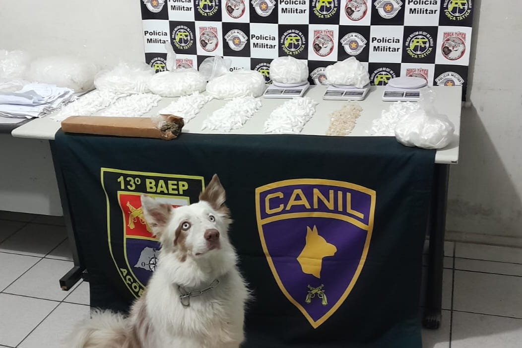 Operação contra tráfico apreende 18kg de de drogas em favela