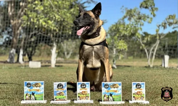 Cães da Polícia Penal vencem competição em mostra de animais