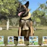 Cães da Polícia Penal vencem competição em mostra de animais