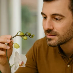 5 sinais de que sua orquídea vai florescer em poucos dias