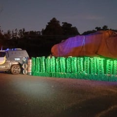 PRF prende traficante com 912kg de maconha em rodovia de Palmital