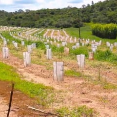 Relatório da Justiça encaminha ação para desocupação em assentamento de Gália