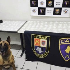 Baep faz ação com canil e cavalaria e prisões em Marília e Bauru