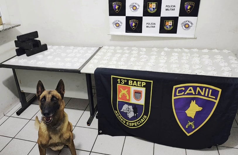 Baep faz ação com canil e cavalaria e prisões em Marília e Bauru