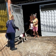 Estudo de população animal terá pesquisa em residências de Marília