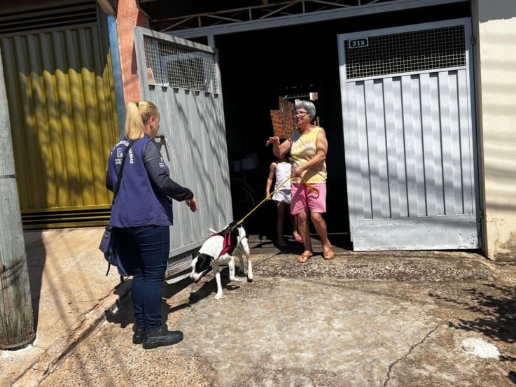 Estudo de população animal terá pesquisa em residências de Marília