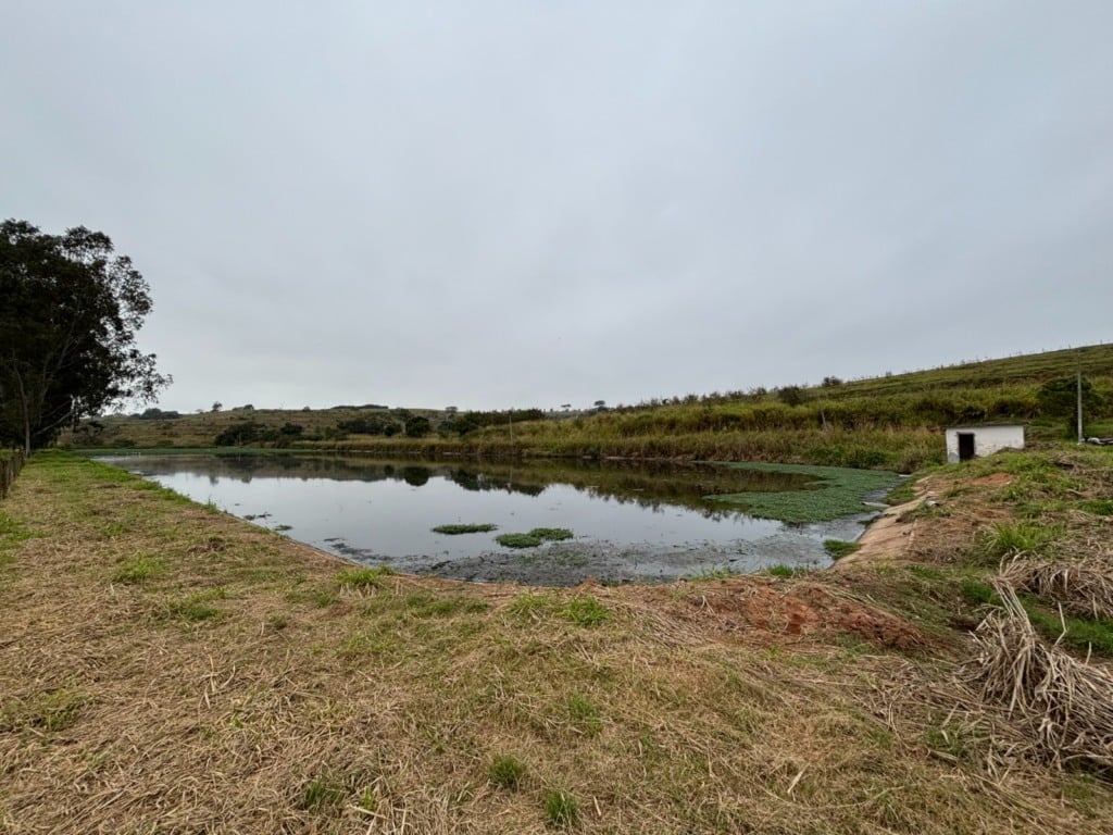 Lagoa de tratamento de esgoto recebe limpeza em Pompeia