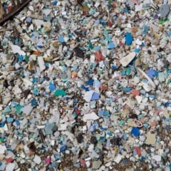 Sacolas biodegradáveis: solução sustentável ou novo marketing verde enganoso?