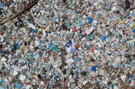 Sacolas biodegradáveis: solução sustentável ou novo marketing verde enganoso?
