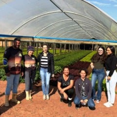 Nutricionistas visitam produção de alimentos da merenda em Marília