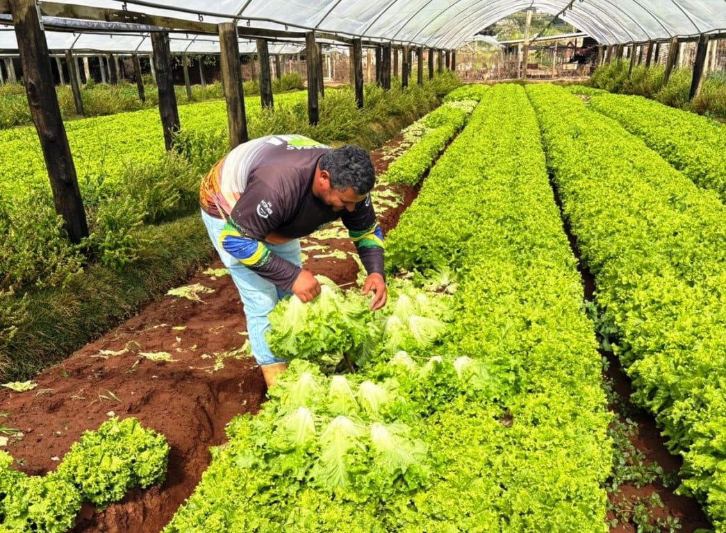 Nutricionistas visitam produção de alimentos da merenda em Marília