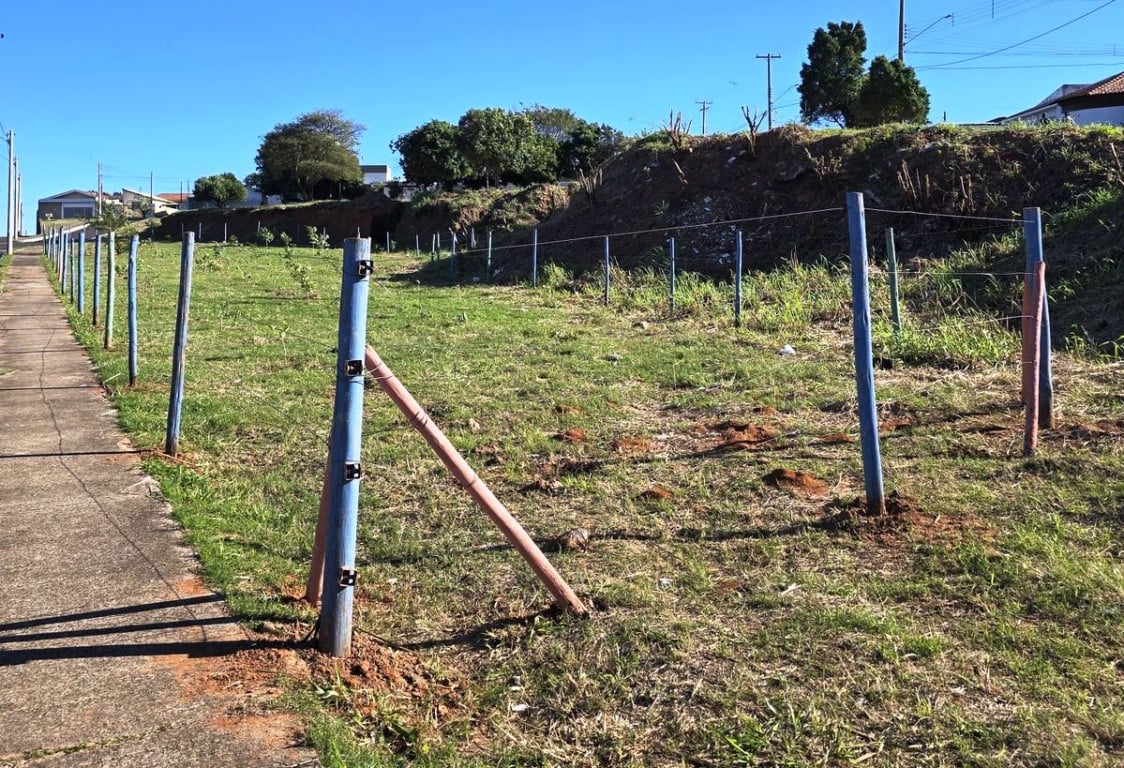 Recuperação ambiental planta e cerca árvores em Marília