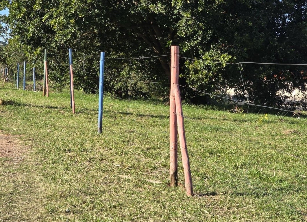 Recuperação ambiental planta e cerca árvores em Marília
