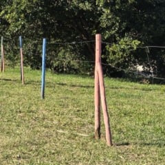 Recuperação ambiental planta e cerca árvores em Marília