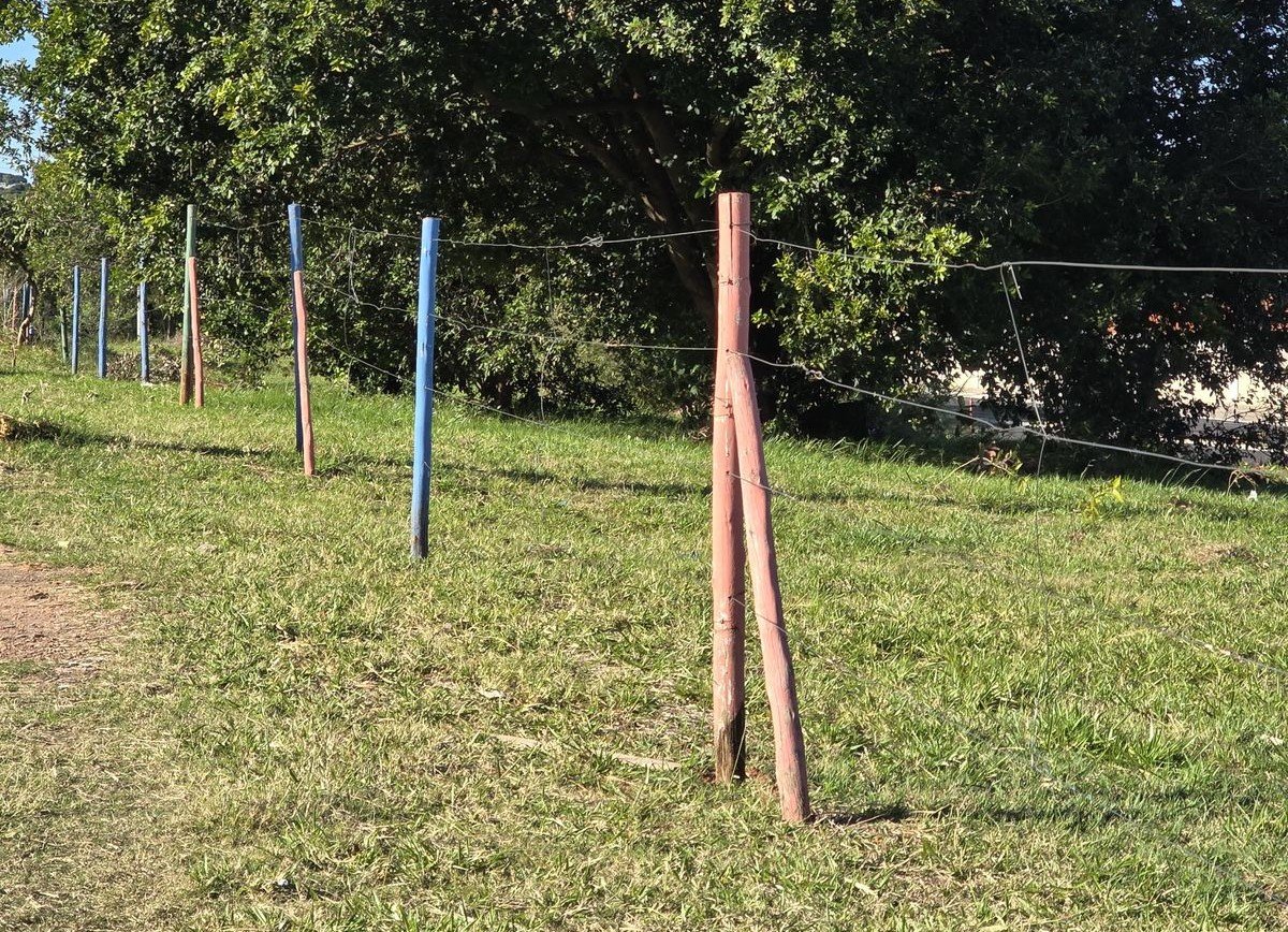 Recuperação ambiental planta e cerca árvores em Marília