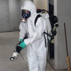 prefeitura confirma 31 morte por dengue