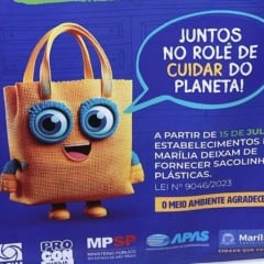 Lei para banir sacolas descartáveis entra em vigor nesta terça