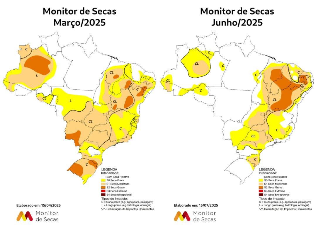 Número de queimadas despenca no Estado em ano com recuo de secas