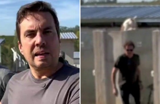 ‘Susto' em prefeito mostra abrigo a cães perigosos e valoriza adoção de dóceis