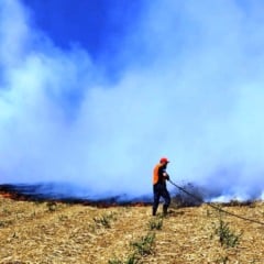 Painel mostra focos de incêndio em Marília e região, casos avançam no Estado